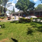 sesi4
